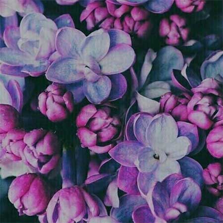 دانلود آهنگ دلم چه تنگه امین ملاها